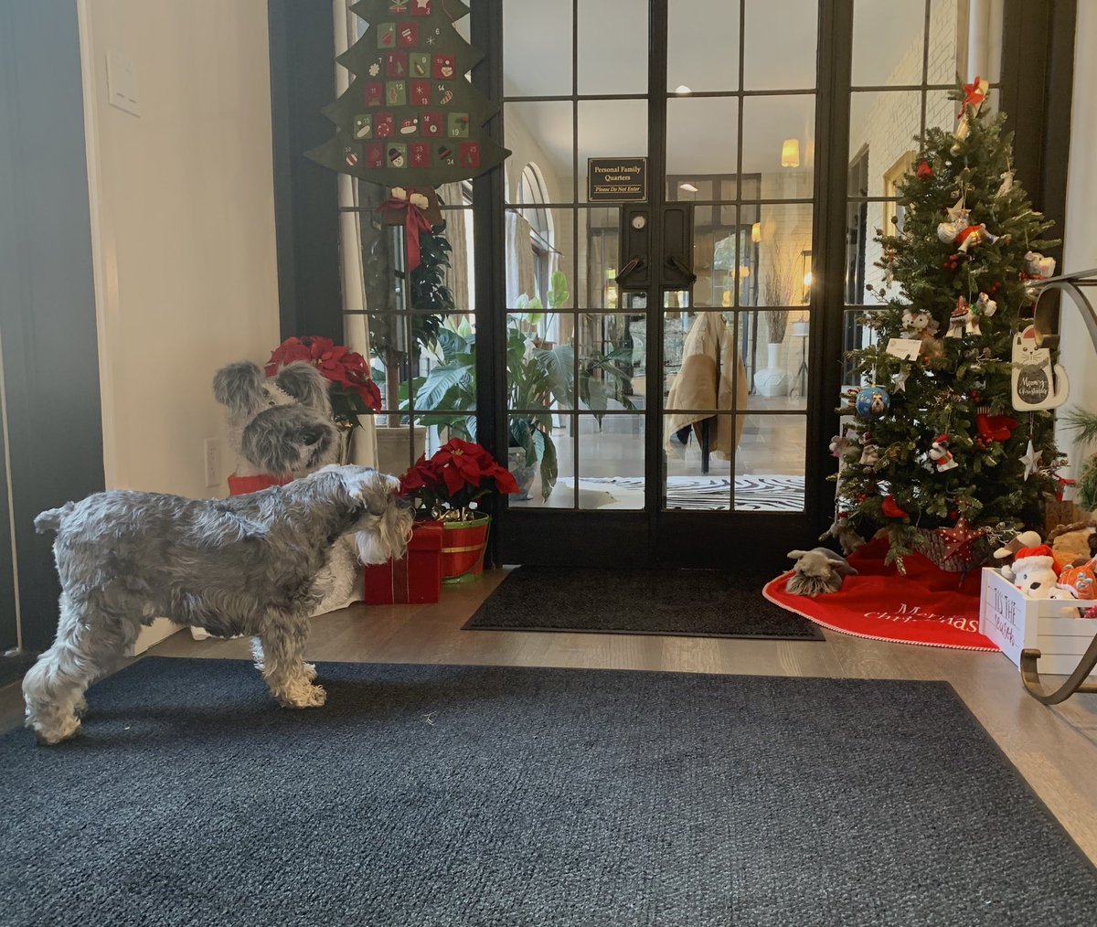 Oliver Holcomb tweet media