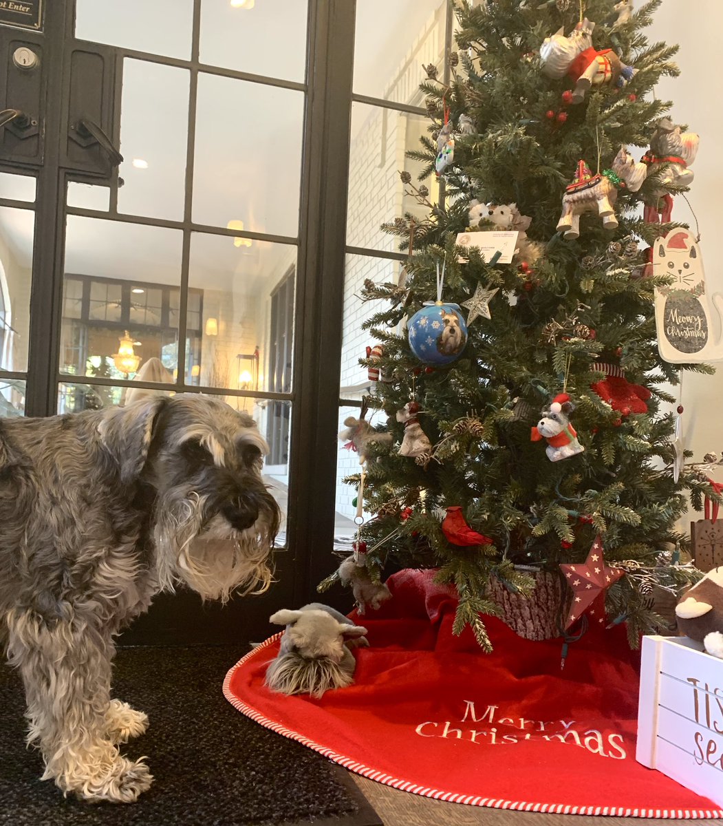 Oliver Holcomb tweet media