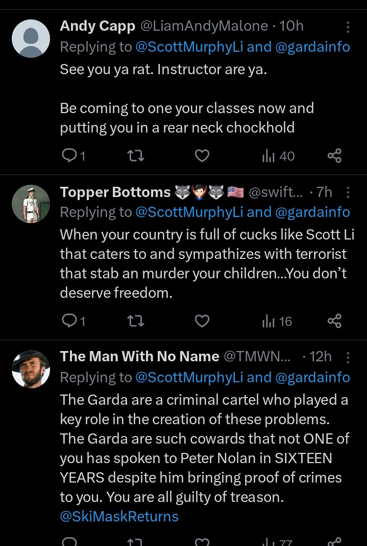 Scott Li🇮🇪 tweet media