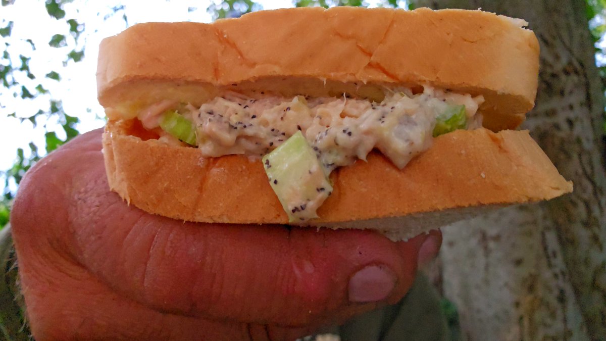 OUnsupervised's tweet image. youtu.be/p3wMcceYC9E
Last stealth camp on this 195 mile bike trip, bitter sweet day.  I decided to set up camp between two farmer's fields.  I got a bit of a scare in this one, check it out to find out.
#StealthCamp #StealthCamping #OutdoorsUnsupervised #WildCamping #Stealth