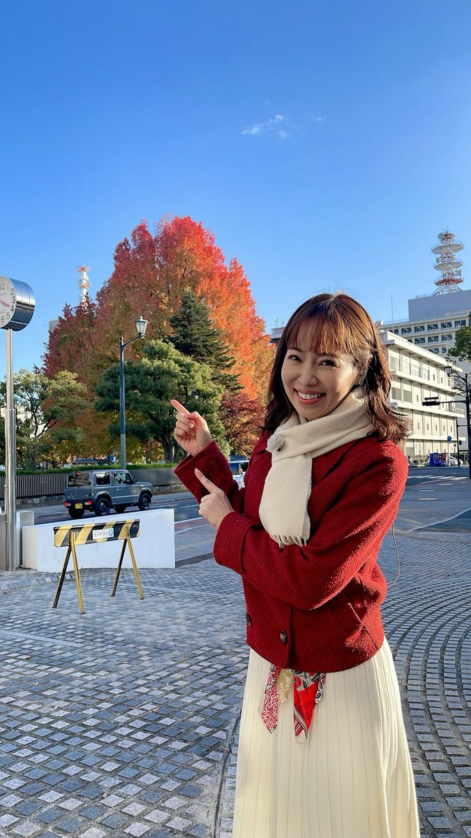 おはようございます✨ 今日は🍁や⚽️など 色々な予定もあると思いますが、 しっかり暖かい服装でお出かけください🧣 裁判所の所の色づくタイワンフウ。 昨日、仕事の合間に撮りました😊