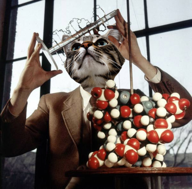 Litto_ral's tweet image. Колеги,
Будь ласка, накидайте посилань на акаунти колег-вчених, хто зараз воює/волонтерить
RT RT #ScienceForUkraine @Sci_for_Ukraine 
Дякую☺️🧪🧬⚗️🔬🔭