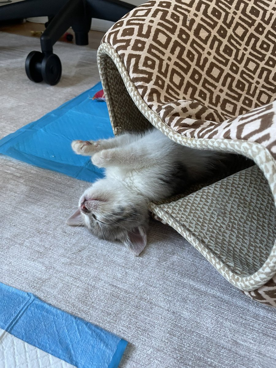 mlis's tweet photo. https://t.co/ILKp2ekhYe