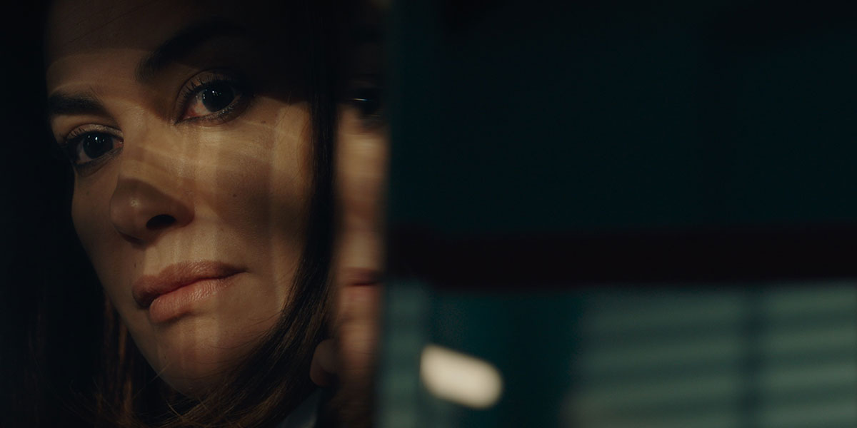 Many of our Ryder regulars have already seen JOAN BAEZ: I AM A NOISE and FOUR DAUGHTERS. Stop by for an encore, or bring your family in before they leave town!

See our website for more details.