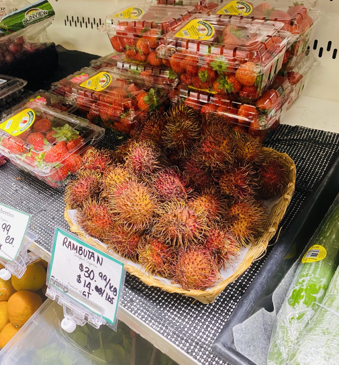 Earth's General - Waste Reduced Store tweet media