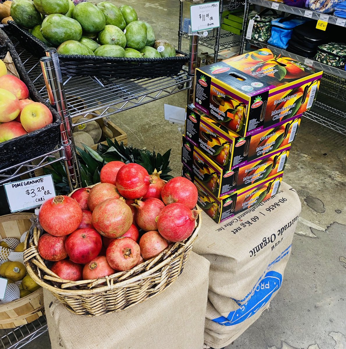 Earth's General - Waste Reduced Store tweet media