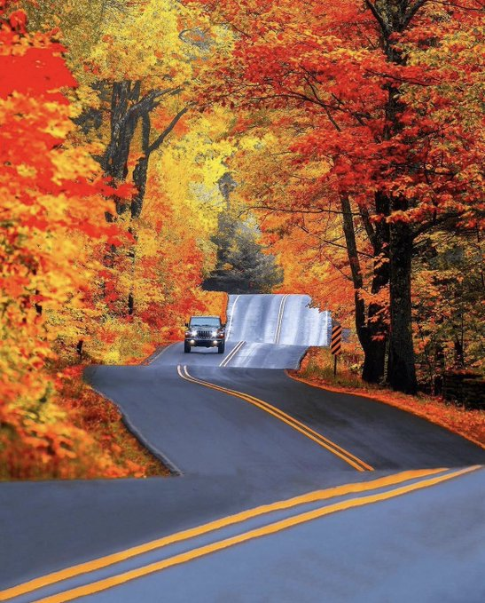 btitp's tweet photo. Autumn colors in New Hampshire🍂 https://t.co/kqljgVBPEc