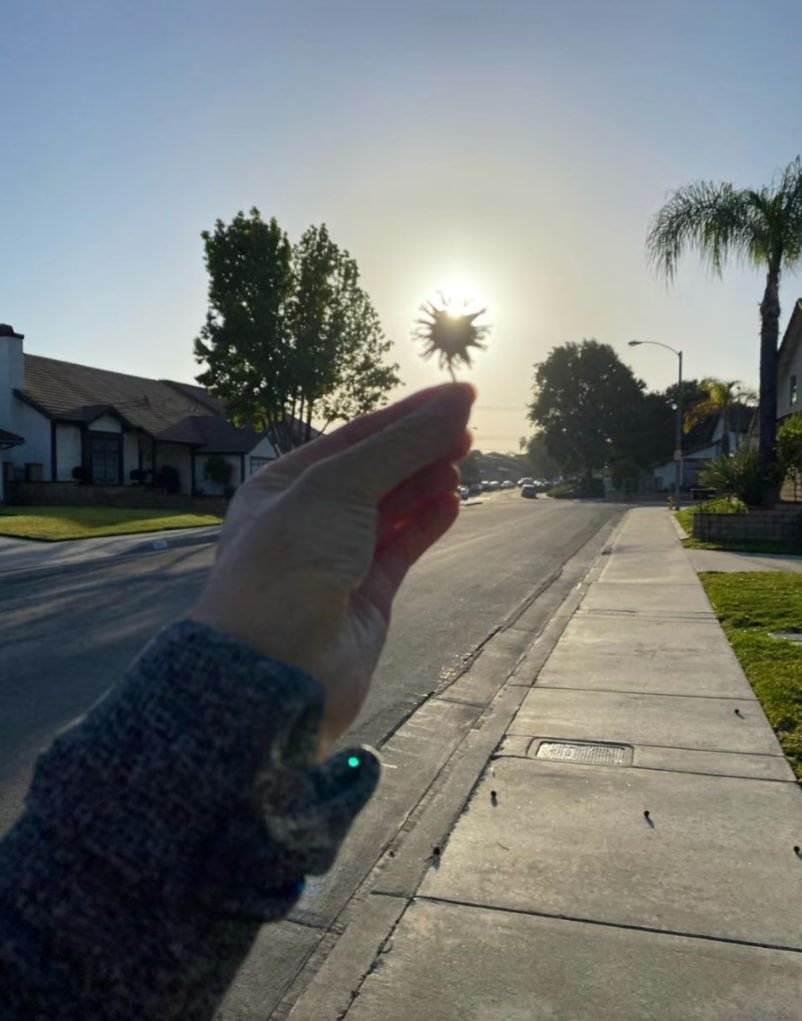 mys_go's tweet image. Have the courage to follow your heart and intuition. They always know what you really want to be