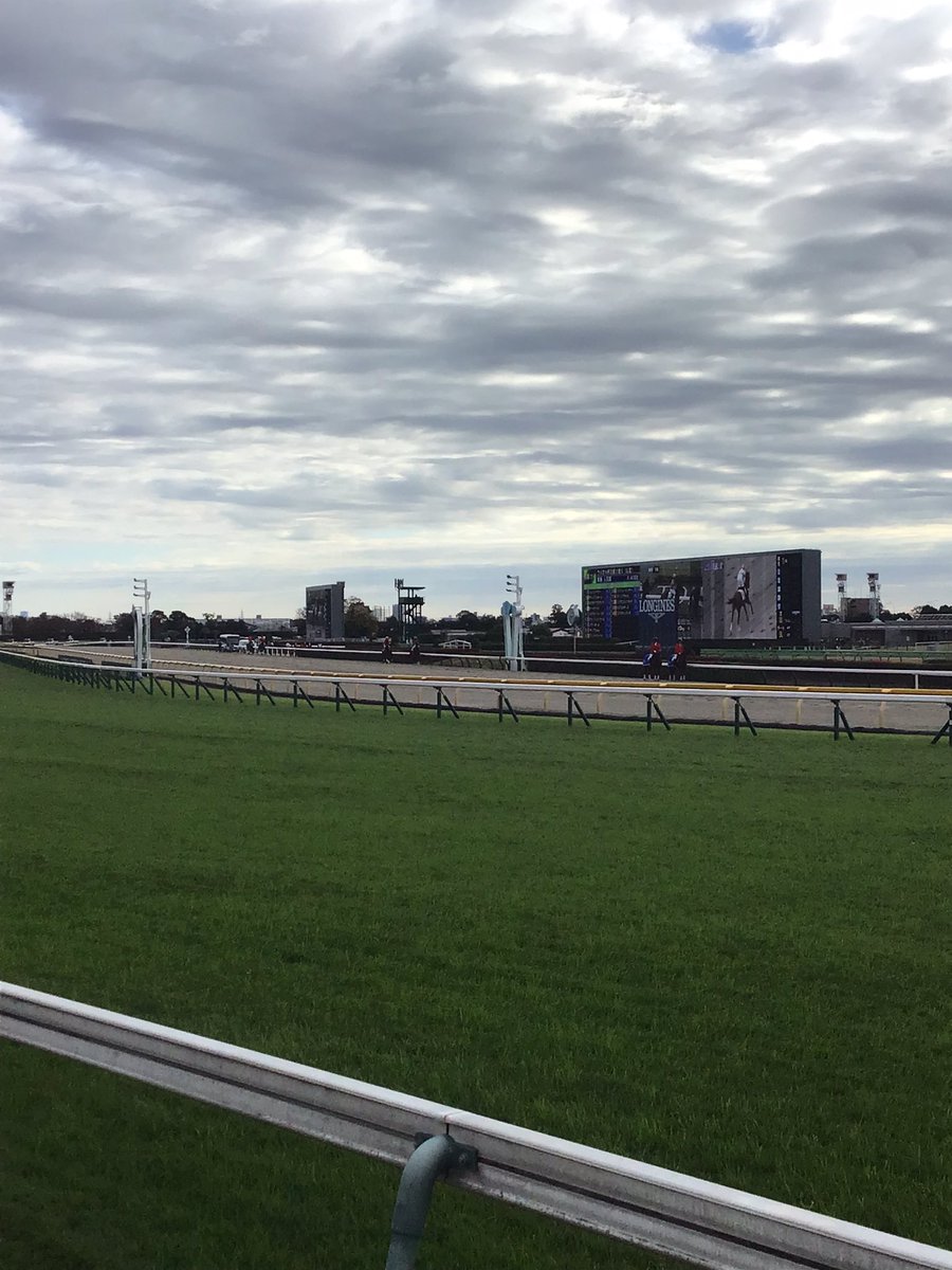 StaylorKt's tweet photo. 今日も!!東京競馬場! https://t.co/7xfEkwfYhO