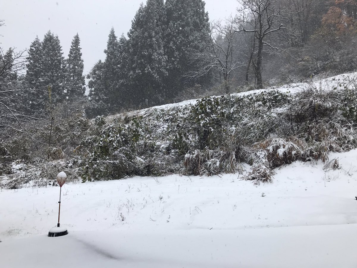 72ban's tweet photo. 雪が降ってる。
予報通りた。 https://t.co/zbQzDj9o8W