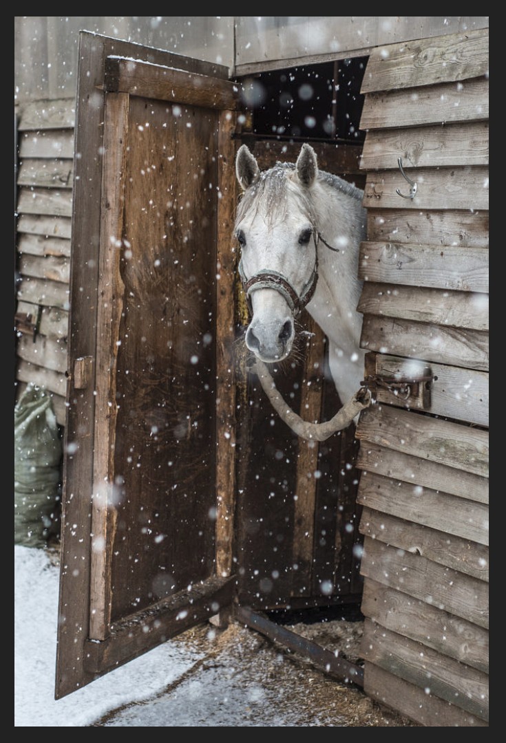 Sidewalk Angels tweet media