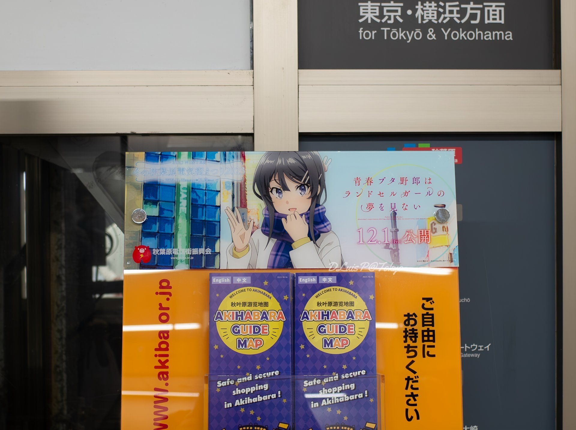 冬の秋葉原電気街まつり2023 特別賞：「桜島麻衣」複製サイン入り