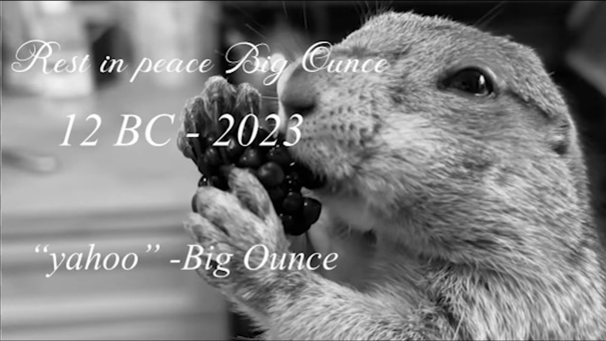ASliceofTrent's tweet photo. Urban rescue ranch has me crying over a prairie dog #ripbigounce https://t.co/qq7mBSwqbZ