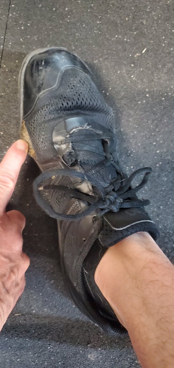 Czech Husky tweet media