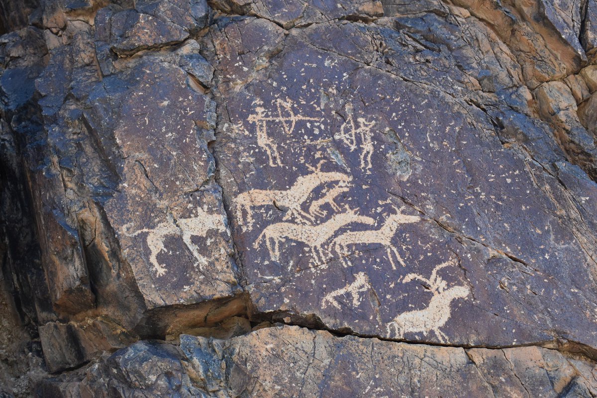 Хулан намнаачид уу? Хоорондоо харвалцаж байна уу?