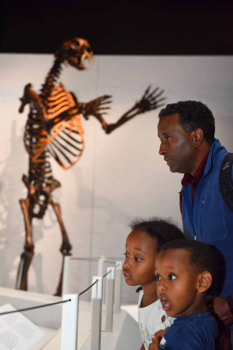 DenverMuseumNS's tweet photo. Embark on a journey through Earth's icy history and discover the fascinating stories of ice and adaptation through hundreds of artifacts, fossils, models and interactive experiences at "Mysteries of the Ice Ages." Now open at the Museum! https://t.co/CGoUnX7IsW #IceAges #DMNSice https://t.co/4BwdTGlBRj