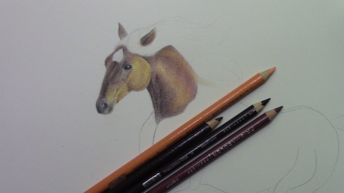 ella_jensenArt's tweet photo. Work completed! #art #drawing #coloredpencil #pencilart #arte #disegno #pastellicolorati #pastelli https://t.co/eR3JYhXuQI