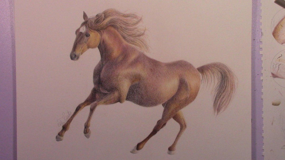 ella_jensenArt's tweet photo. Work completed! #art #drawing #coloredpencil #pencilart #arte #disegno #pastellicolorati #pastelli https://t.co/eR3JYhXuQI