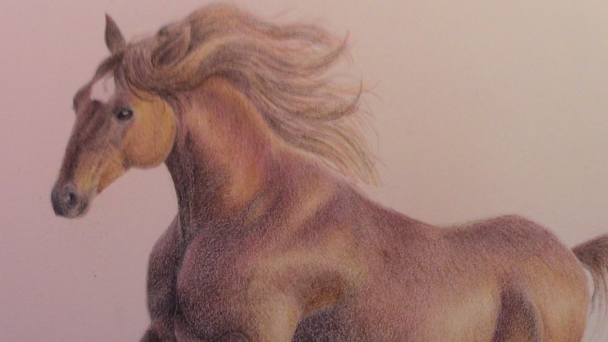 ella_jensenArt's tweet photo. Work completed! #art #drawing #coloredpencil #pencilart #arte #disegno #pastellicolorati #pastelli https://t.co/eR3JYhXuQI