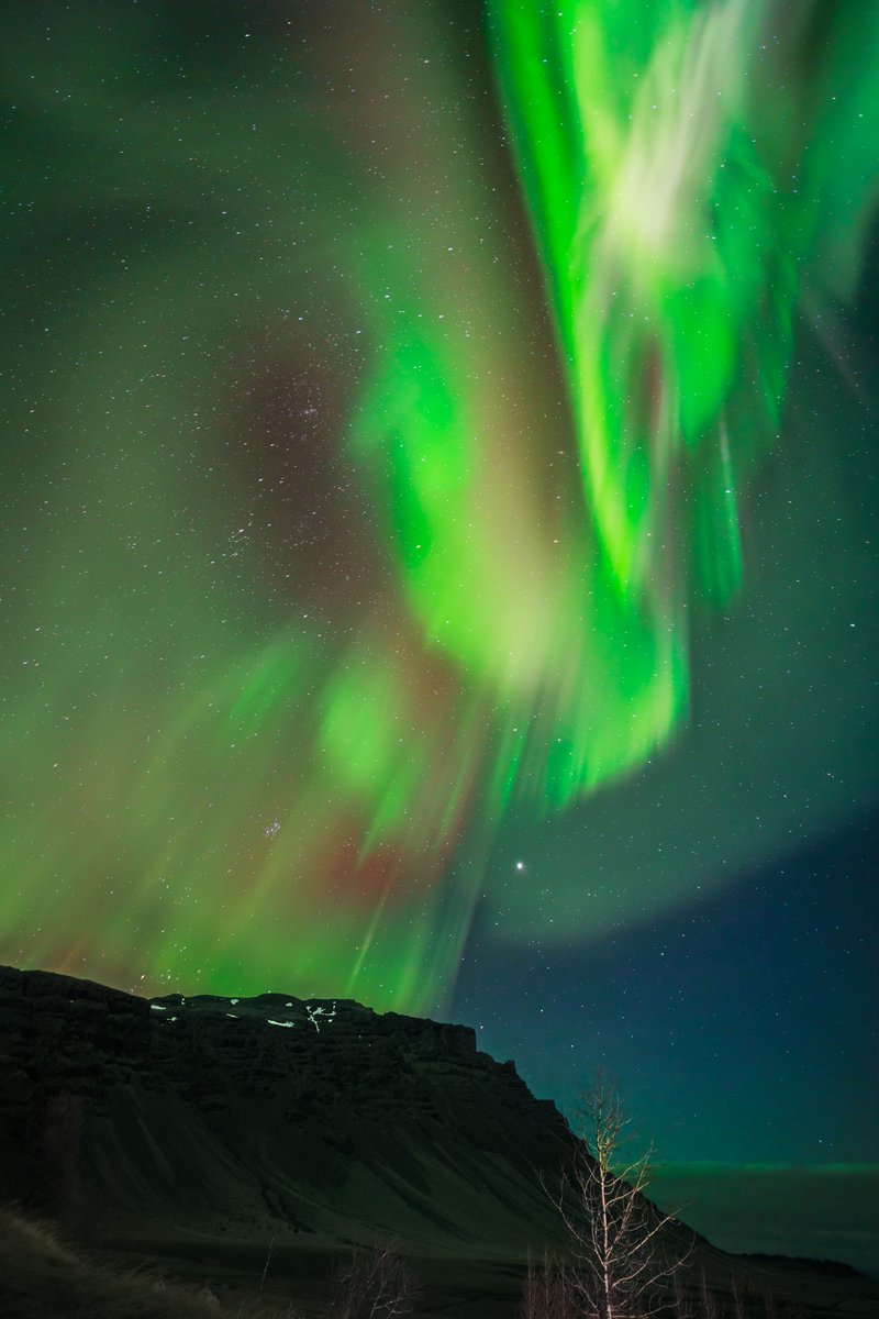 TaraMoonHunter's tweet photo. Incredible outburst on our trip 9 Nov 2023 https://t.co/3pyCjI5oH0… #northernlights #greenlady #iceland #glendaleapp https://t.co/8iTkwfejDa