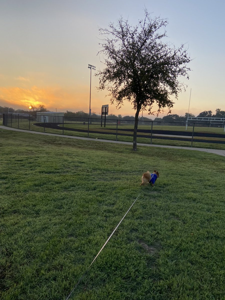 BoyleZavala's tweet photo. Living the Good life 🌞🌝 https://t.co/BC3sbWb1H1