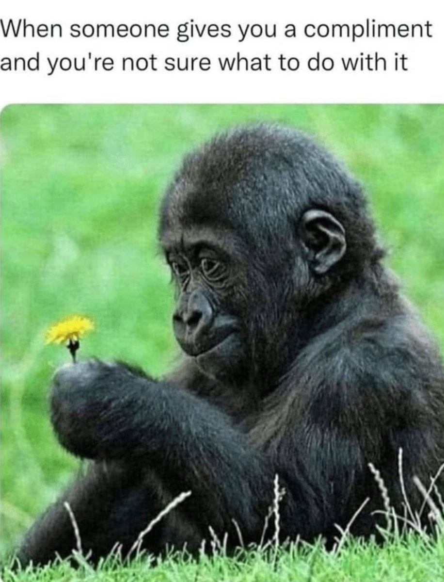 Me