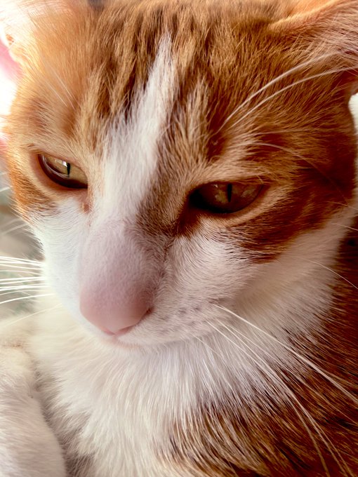 Zuko 🧡 https://t.co/5TLwMEjz8m<a href="/tag/gojosatoru"class="tags"><span>#gojosatoru</span></a>