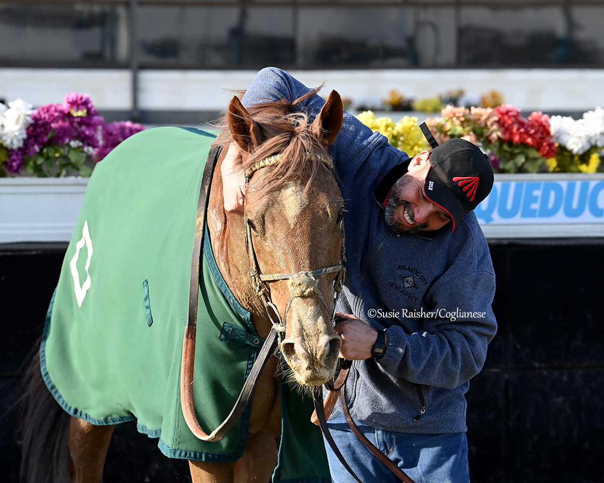 All the love for BOLD JOURNEY (Hard Spun) who put forth a bold run to win Friday's GIII Fall Highweight Handicap at Aqueduct! It was the first career stakes victory for the #NYbred 4-year-old colt.

Owned by Pantofel Stable, Wachtel Stable and Gary Barber, trained by Bill Mott,