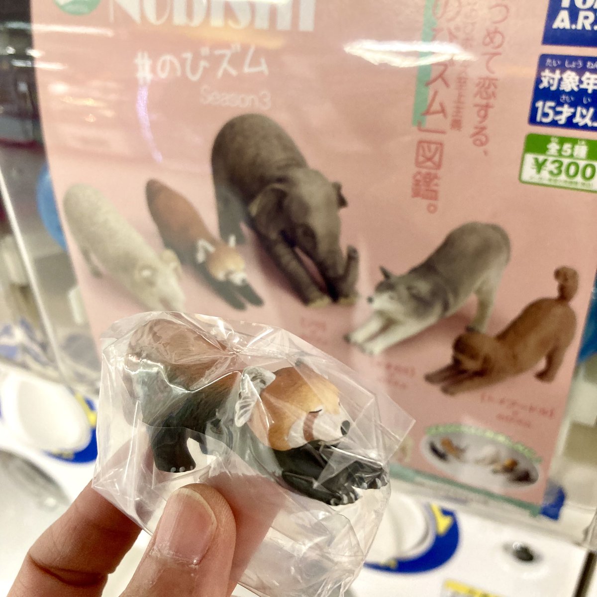 ZooKeeper_goods's tweet photo. まさかの一発ゲットォォォォ！！！！！
#レッサーパンダ #のびズム https://t.co/B36EzWjmgc