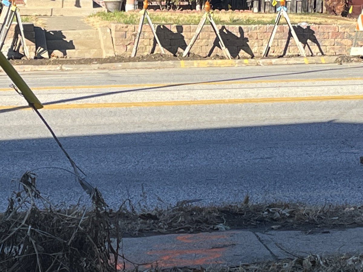 DeronLarson's tweet photo. Certainly appear to be more canine than equine. #SawDogs https://t.co/K9jUF2ZROh