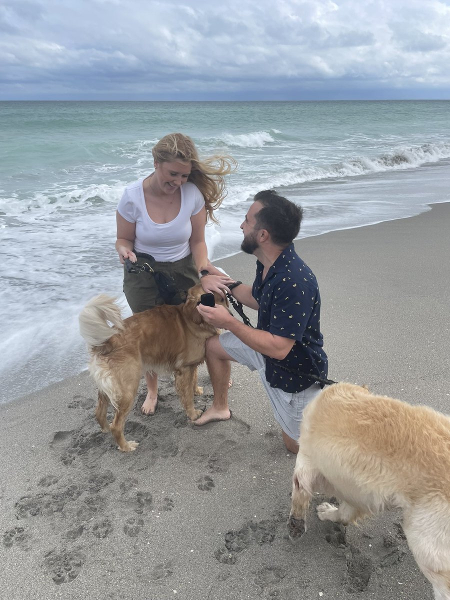 Matt Perotti tweet media