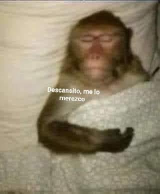 yo después de sobrepensar mucho y no hacer nada