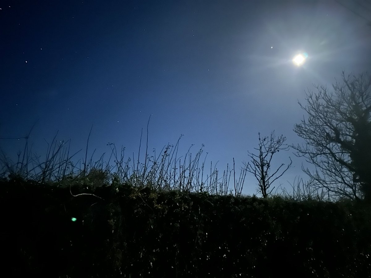 dougierumney's tweet photo. Venus close to the moon, at 2am #likely https://t.co/fVzKZJyw95