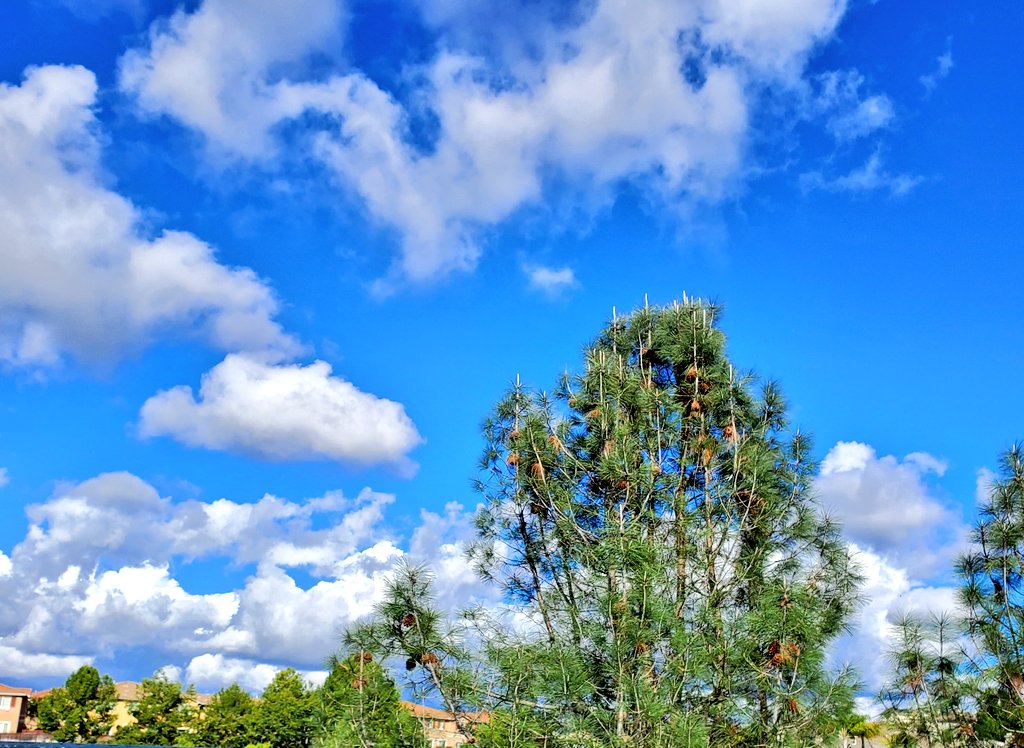 katancorUS's tweet image. I love days like this. #BlueSkies #CoolAir and  #Autumn
