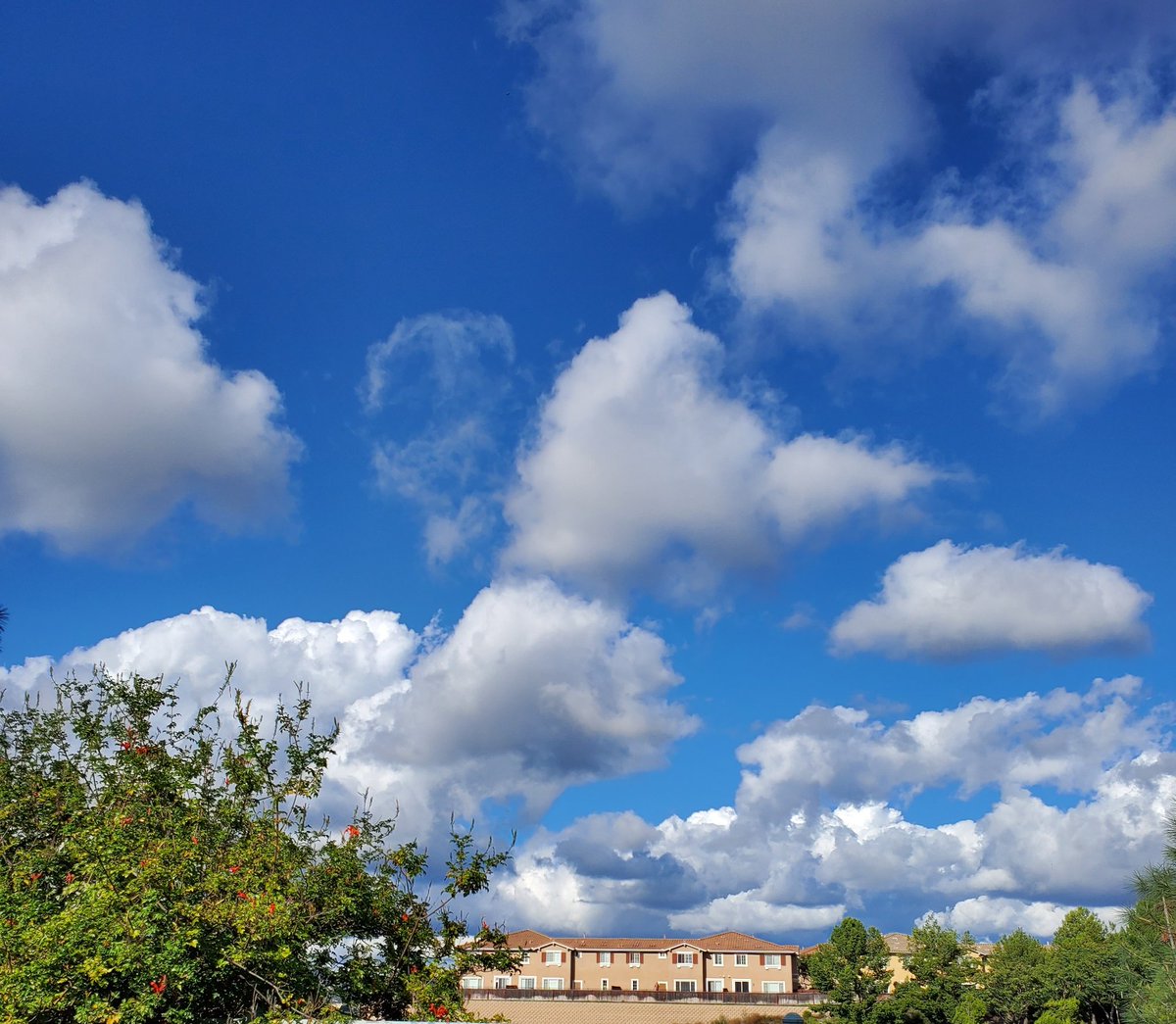 katancorUS's tweet image. I love days like this. #BlueSkies #CoolAir and  #Autumn