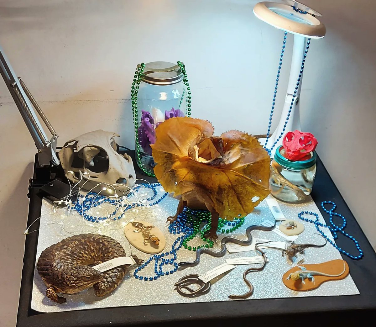 Ro Aguilar tweet media