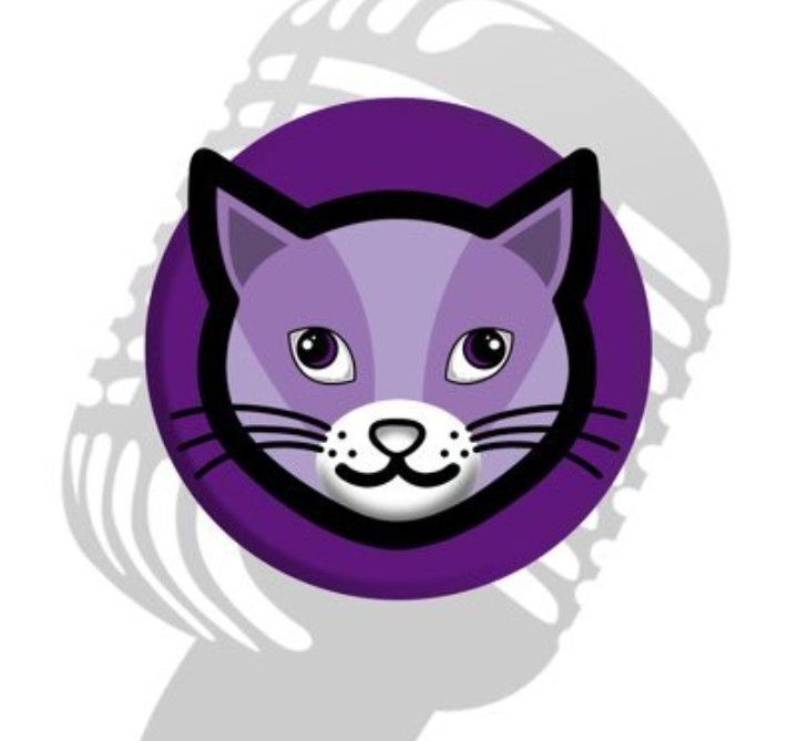 Exciting news! The #NewCats have reached the milestone of five months old. It has been an incredible journey thus far, filled with joy and anticipation. As we continue on this adventure together, we eagerly look forward to reaching new heights. New Cats! 🎉😻