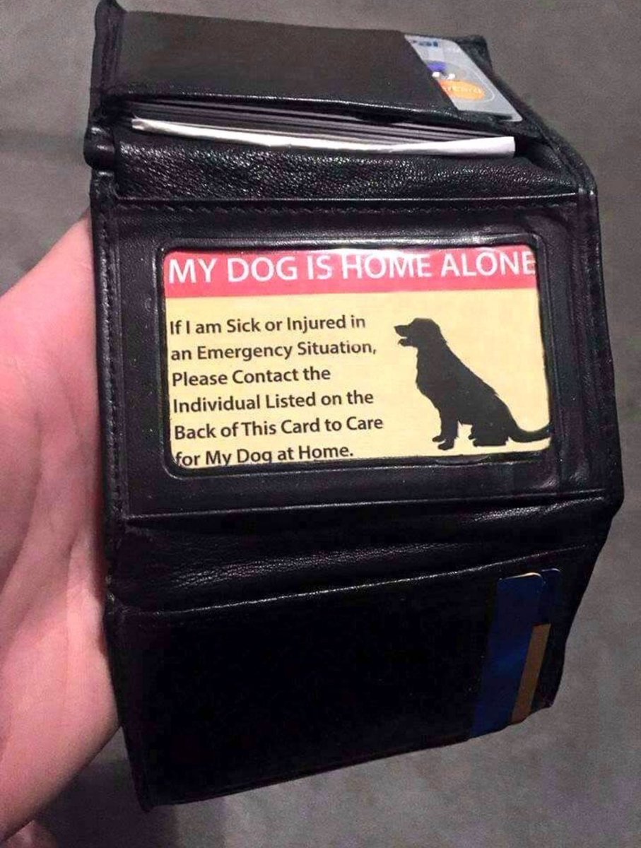 BrianRoemmele's tweet photo. I vote this to be part of the IPhone emergency contact system. https://t.co/moKFop0T87
