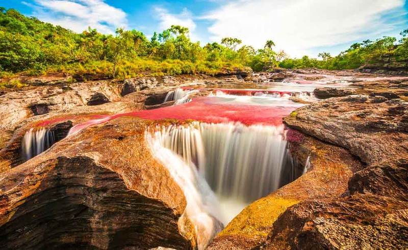 heightaway's tweet image. Amazing natural phenomena
Caño Cristales 'Liquid Rainbow', Colombia

     The Caño Cristales river in La Macarena is nature's watercolor palette. From July to October, the river is highlighted with flashes of red, yellow, green and blue. The colors appear due to the reproduction…