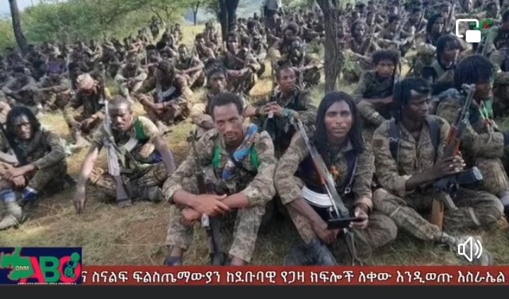 OROMIANIST's tweet photo. @addisstandard This us OLA's brigade photos. OLA is upgrade to brigade. #WeStandWithOLFOLA #OromoVoice https://t.co/yaBt0JwFq2