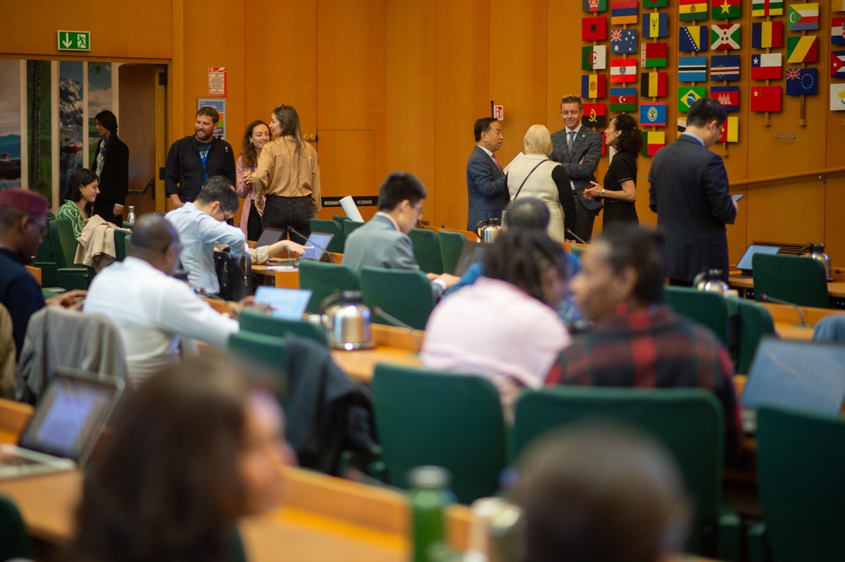 Decade2Restore's tweet photo. A last session on developing restoration capacities &amp; it's a wrap for @FAO @UNBiodiversity &amp; @UNEP's Target 2 meeting! The key wins:

1️⃣   Inclusive dialogues
2️⃣   Knowledge exchange
3️⃣   Partnership boost
4️⃣   Concrete roadmap

Next? Working on a Resource Manual for Target 2! 📚 https://t.co/lwGHqtQFJq