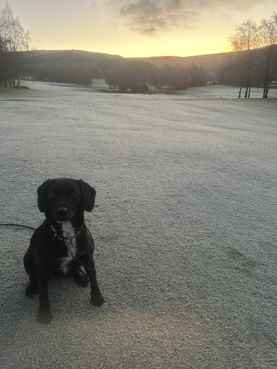 Gorgeous morning for it!