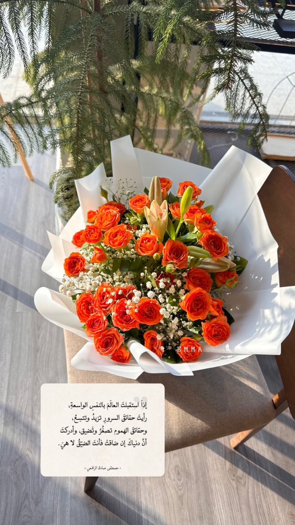 emmaa203's tweet photo. #صباح_الخيرᅠ كل شيء يولد مع الفجر .
الأقدار ،الأمل ،النجاح ،الطموح ، 🕊
قصة الأمس إنتهت .. و قصة اليوم بدأت..
"اللهم إنا نسألك صباحاً يملأ الأجساد عافية، والروح فرحاً، اللهم أرحنا من هموم الدنيا،
وأرزقنا التوفيق في جميع أمورنا...فوضنا الأمر لك 🧡🌿 . https://t.co/eQMQNlQG1U