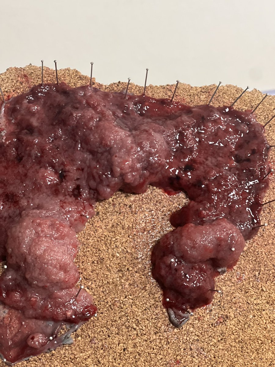 Ahmad.Madkour tweet media