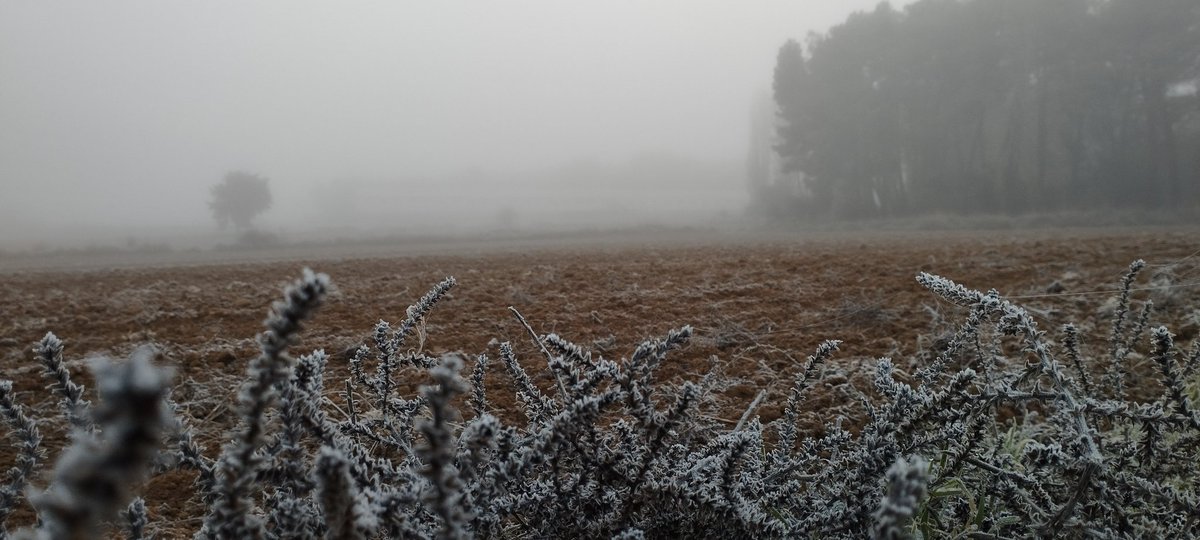 MartaLlorente82's tweet photo. Os juro que ahí está mi granja 🐖

Desde #Zazuar en la Ribera del Duero Burgalesa, buenos días #agrotuiteros #agroX 

#agropopularpastores #vidacochina https://t.co/EVsc5ZutwS