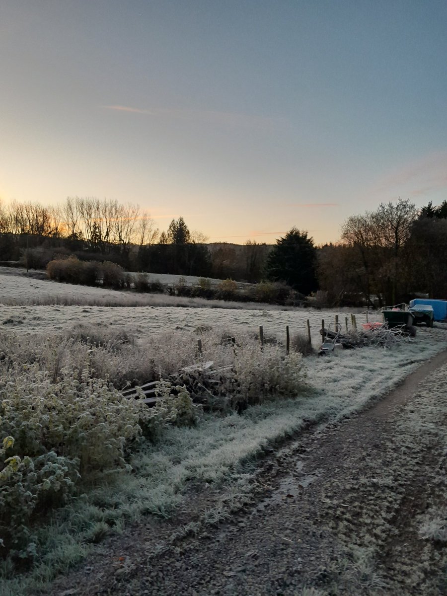 Simon Clarke 🌈💙 tweet media