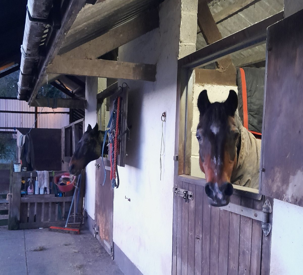 Simon Clarke 🌈💙 tweet media