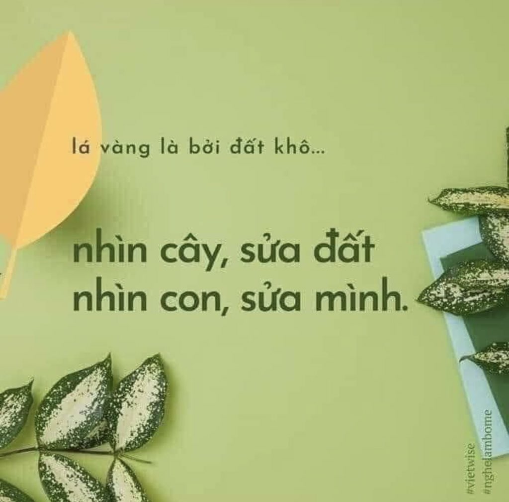 MỘC HÀ tweet media