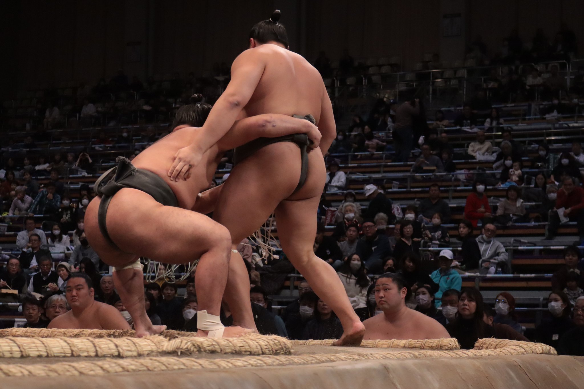 other - 粗布 相撲 武蔵川 ハイビスカス サモア トライバル 反物 生地 粗布 相撲 武蔵川 ハイビスカス サモア トライバル 反物 生地