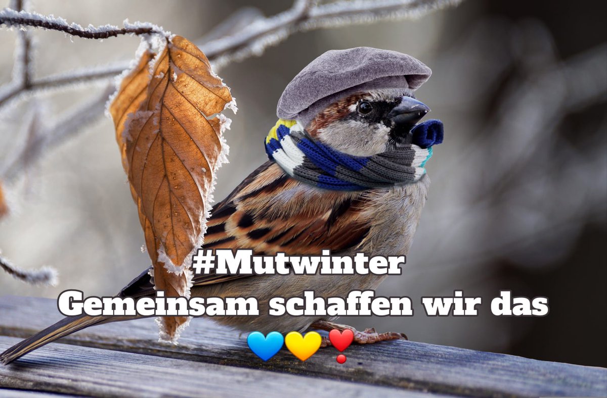 Nelleekseil's tweet photo. @ClancysSon Guten Morgen und einen schönen Samstag für @debarbn1978 und Dich.
Nasskalt ist es draussen, Schneeregen verbreitet die Botschaft dass der Winter im Anmarsch ist. Das erinnert mich an den
#Mutwinter
Wir rücken näher zusammen und zeigen der Welt
#wirsindmehr 
#TaurusForUkraine https://t.co/J5s6GG2fMH